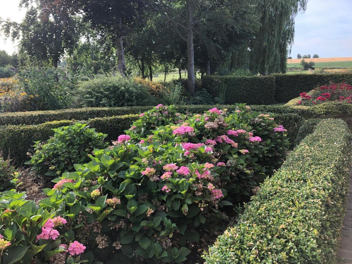Au Coeur Des Collines, Charmette Villa Ellezelles Bagian luar foto